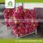 Red onion export mesh bags