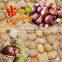 Frozen Roasted Chestnut In Shell---best taste and hot selling