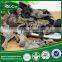 best price black fungus frozen black fungus