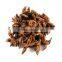 High quality Vietnam star aniseeds without stems / anise - Cheap price!
