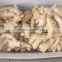 Hot selling world best price Chinese fresh ginger