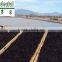 Healthy laver seaweed,sea moss,sushi wholesale