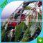Polythene Knotless Net---Anti Bird Net