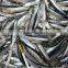 Good Quality Frozen Whole Anchovy for sale