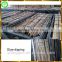 New design outdoor plastic deck floor covering Made in China