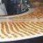 endless cotton biscuit webbing for bake biscuit