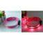 hot colorized nylon dog collar 8 color adjustable size
