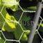 Hexagonal Wire Fence