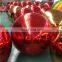 China Factory Price Customized Inflatable Decoration Mirror ball Giants Reflective Mirror Ball Gold Silver