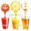 lager caliber korea slow juicer&SP-DJN-001 slow juicer