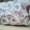hot sale frozen todarodes pacificus squid ring good price