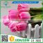 2016 Wholesale Multicolor 32CM Artificial Flowers Bouquet Wedding Bridal Real Touch Christmas Decorative Flower Tulip