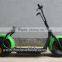 2016 New 1000W Wolf Moto Electricas with Lithium Battery