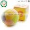 OEM Factory Custom Soft Plush Baby Ball Toy