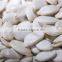 snow white pumpkin seeds & snow white pumpkin kernels