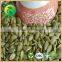 Japanese Shine Skin Pumpkin Seeds kernels