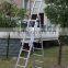 Goldgile Aluminum ladder