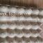Paper Egg Trays In Cheap Wholesale (Trade Assurance)