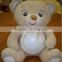 Light Up Teddy Bear Plush toy/Light Up Teddy Bear /Led Light Teddy Bear