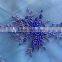 2015 new fashion dress pearl beads embroidery designs                        
                                                Quality Choice