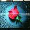 hd and perfect quality p6 led bar graph display xxx photo