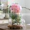 Made in China Wholesale Price Protect Item Decoration Glass Dome with Wood base