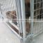 Cages Cage,Carrier&House Type and Dogs Application hot dipped Galvanized&PVC coated dog kennels