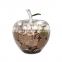 Cute Coin Stealing Money Box as Decorate Crystal Apple Piggy Bank