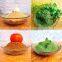 Spray Dried Fruits & Vegetable Powders