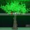 Led yellow maple trees sell