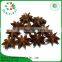 Chinese Single Spices and Herbs Pure Natural Dry Star Anise