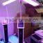 factory supply portable PDT LED light therapy for facial care