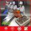 High quality Chinese Jujube fruit shanxi Special grade dried red dates with walnut meat
