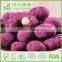 International Selling Raw Peanuts Nut Prices Purple Phtato Peanuts New Nuts Nuts