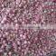2015 New Crop of Fresh Onions Packing in Mesh Bag From China