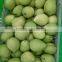 Cheap Shandong Pears&Golden Pears