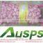 "high quality agriculture wholesale china natural garlic "