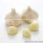 FX-128-2 Hot Sale Large Capacity Garlic Peeling Peeler Machine
