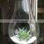 Micro landscape ecological Pear shape Meaty hanging plant glass vase