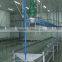 008618052092685halal birds over head convery machine automatic poultry for chicken broilers bleeding slaughtering equipment with