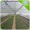 Hot Sale Cheap Poly Agriculture Potato Tunnel Greenhouse
