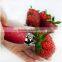 Factory Wholesale Strawberry Stem Huller