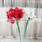 SJ10111100 Guangzhou shengjie artifiical clivia flower sale with factory price