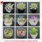 Mini artificial succulent plants artificial succulents tropical plant wholesale
