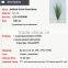 Made in China PVC grass make artificial plants onion grass spray tomentum decoration
