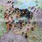 Decorative Map Art Used 6mm Ball Head Craft Pin