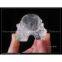 two faces clear crystal skulls