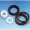 PTFE Seal