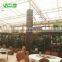 2017 New Commercial Polycarbonate Greenhouse For Restaurant