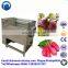 Home Vegetable Washing Machine Vegetable and Fruit Washing Machine Brush Vegetable Washing Machine